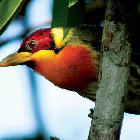Inkaterra Reserva Amazonica Puerto Maldonado Extérieur photo
