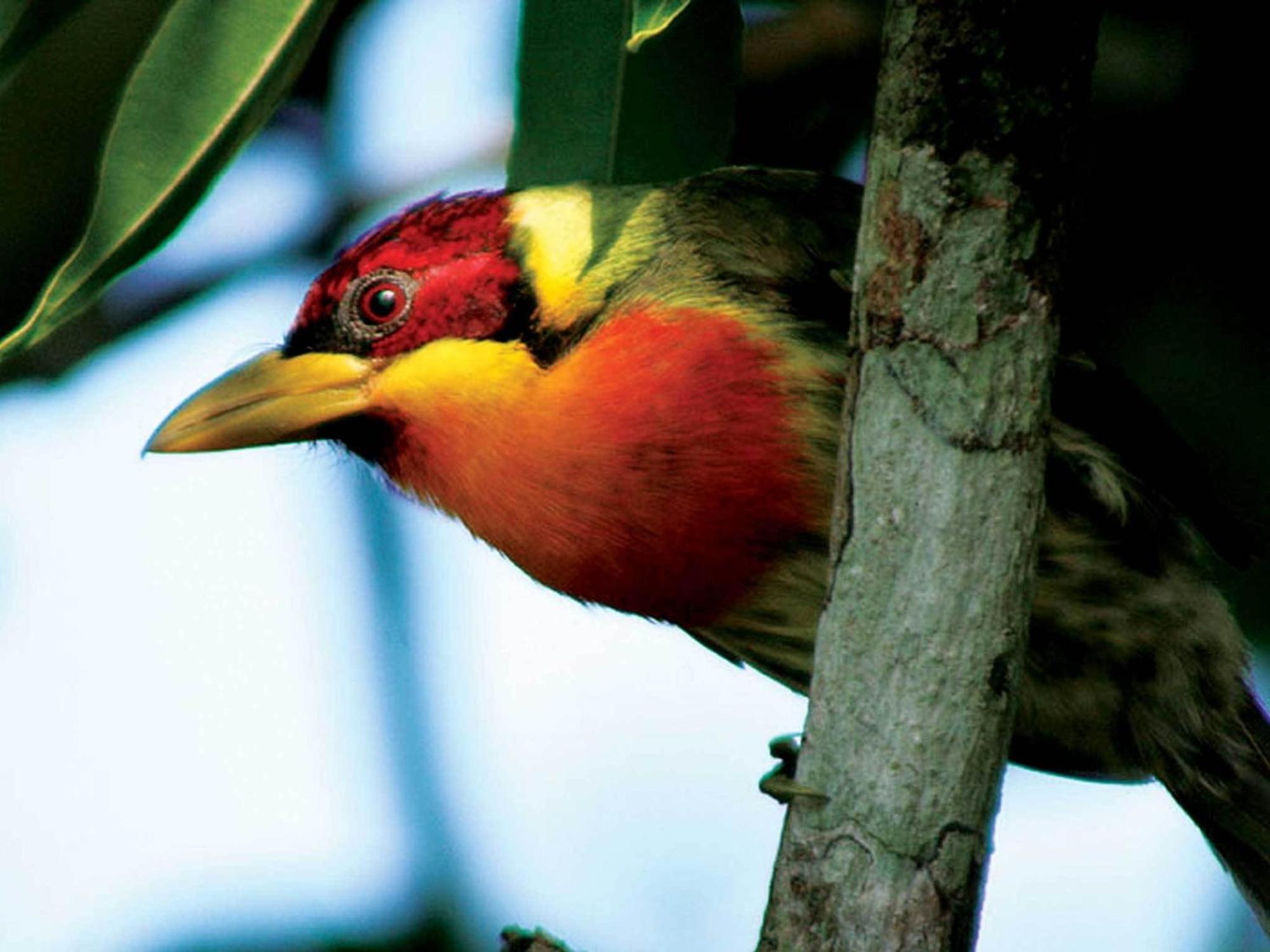 Inkaterra Reserva Amazonica Puerto Maldonado Extérieur photo
