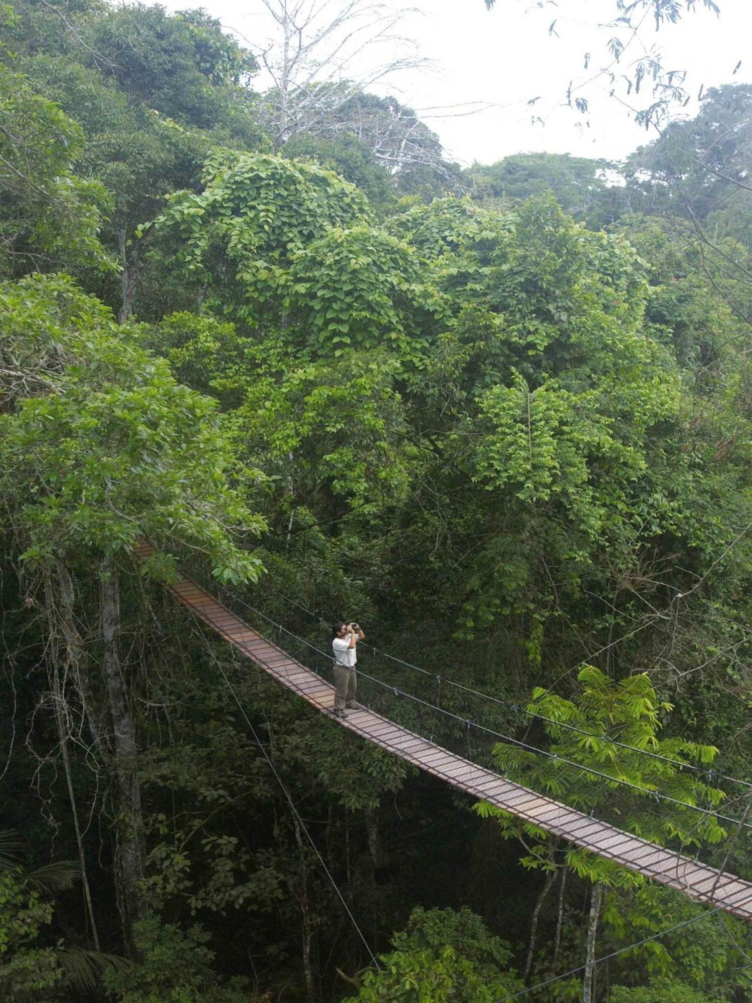 Inkaterra Reserva Amazonica Puerto Maldonado Extérieur photo